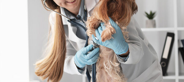 adana veteriner numarası